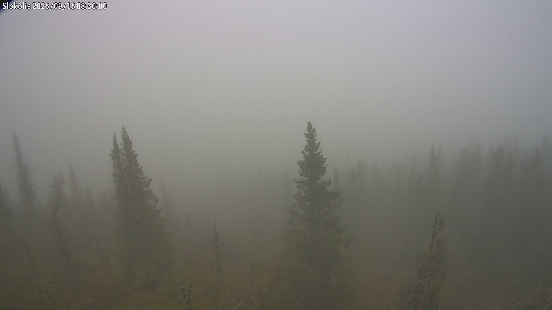 Haglebu / Slokolia