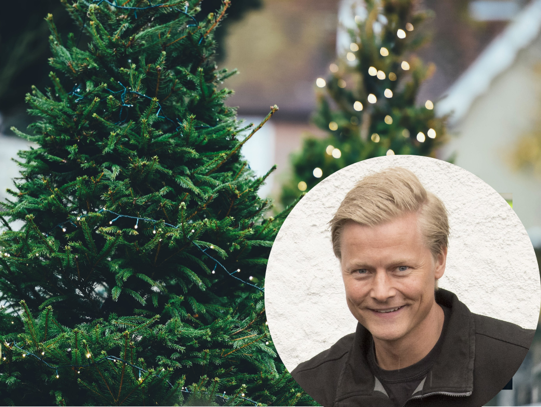 bildet viser Anders hos M carslsen & sønn foran trær med julebelysning