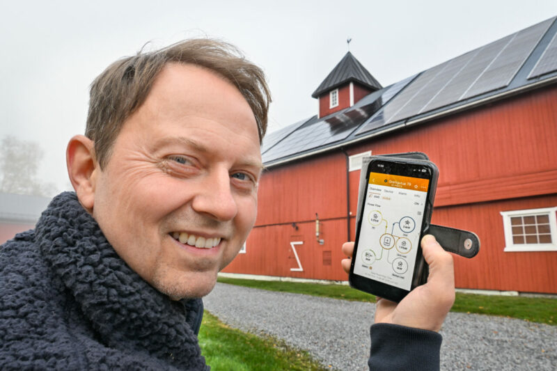 Ole Albert Bøhn